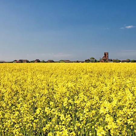 Ferienhaus Gud Jard Nr 19 - Design-ferienhaus Mit Exklusiver Ausstattung *