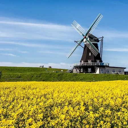 Casa vacanze Gud Jard Nr 19 - Design-ferienhaus Mit Exklusiver Ausstattung Pellworm