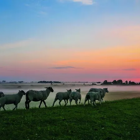 Ferienhaus Gud Jard Nr 19 - Design-ferienhaus Mit Exklusiver Ausstattung Pellworm